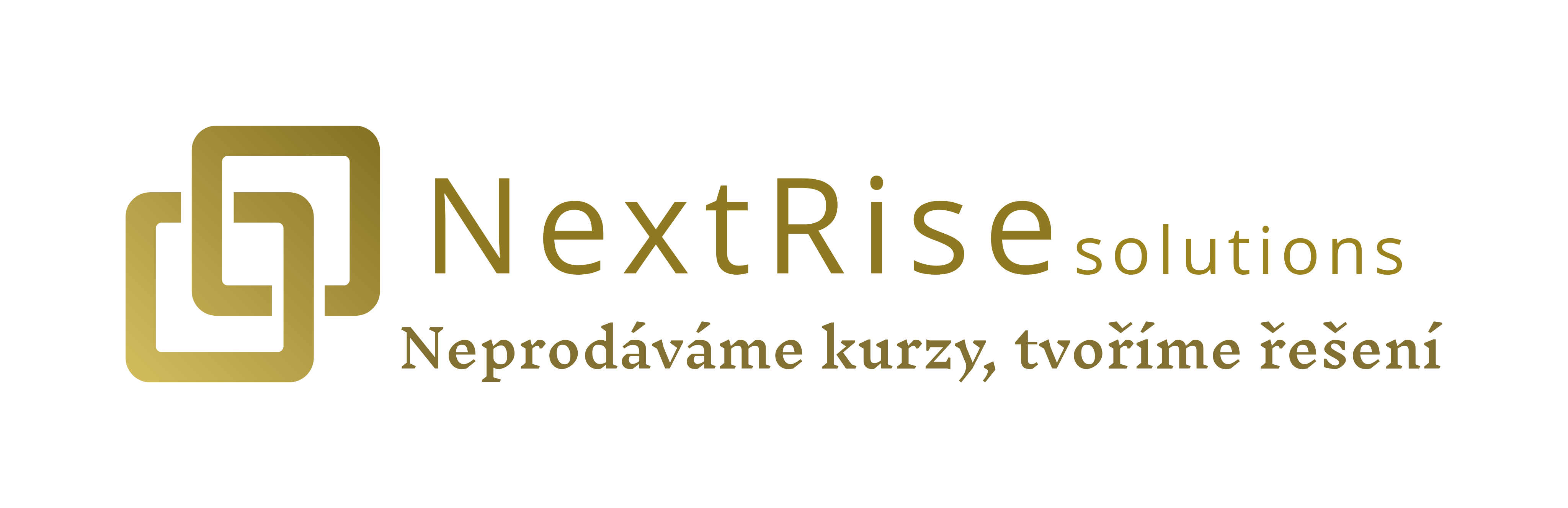 Logo NextRise Solutions